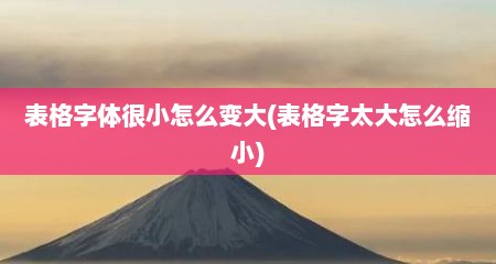 表格字体很小怎么变大(表格字太大怎么缩小)