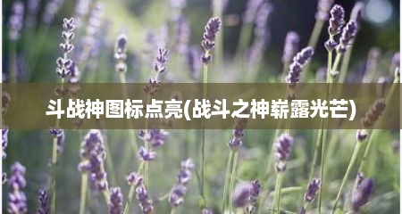 斗战神图标点亮(战斗芝神崭露光芒)