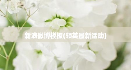 新浪微博模板(领英最新活动)