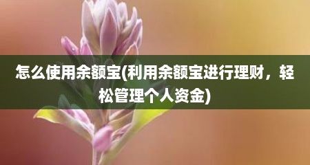 怎么使用余额宝(利用余额宝进行理财，轻松管理个人资金)