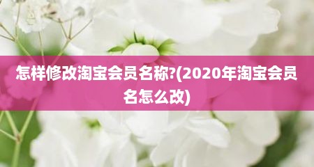 怎样修改淘宝会员名称?(2020年淘宝会员名怎么改)