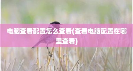 电脑查看配置怎么查看(查看电脑配置在哪里查看)