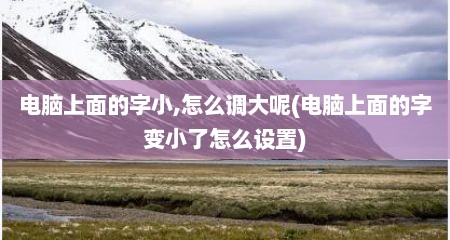 电脑上面的字小,怎么调大呢(电脑上面的字变小了怎么设置)