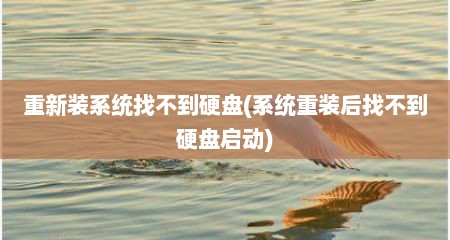 重新装系统找不到硬盘(系统重装后找不到硬盘启动)