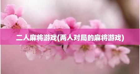 二人麻将游戏(两人对局的麻将游戏)