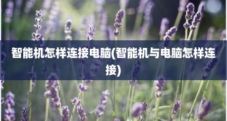 智能机怎样连接电脑(智能机与电脑怎样连接)