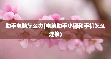 助手电脑怎么办(电脑助手小娜和手机怎么连接)