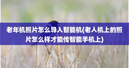老年机照片怎么导入智能机(老人机上的照片怎么样才能传智能手机上)