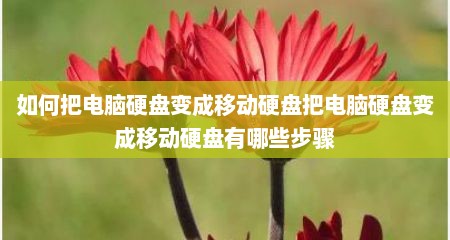 如何把电脑硬盘变成移动硬盘把电脑硬盘变成移动硬盘有哪些步骤