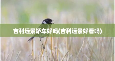 吉利远景轿车好吗(吉利远景好看吗)