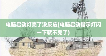 电脑启动灯亮了没反应(电脑启动指示灯闪一下就不亮了)