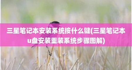 三星笔记本安装系统按什么键(三星笔记本u盘安装重装系统步骤图解)