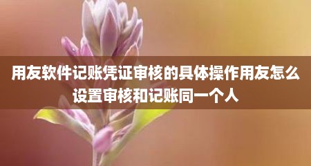 用友软件记账凭证审核的具体操作用友怎么设置审核和记账同一个人