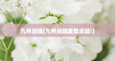 九州战魂(九州战魂重塑卓越!)