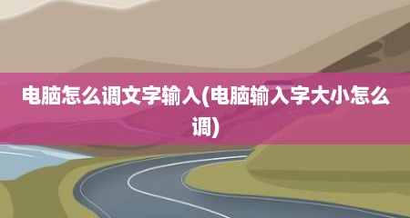 电脑怎么调文字输入(电脑输入字大小怎么调)