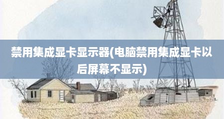 禁用集成显卡显示器(电脑禁用集成显卡以后屏幕不显示)