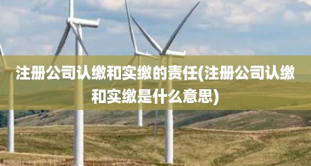 注册公司认缴和实缴的责任(注册公司认缴和实缴是什么意思)