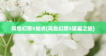 风色幻想5加点(风色幻想5璀璨芝旅)