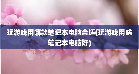 玩游戏用哪款笔记本电脑合适(玩游戏用啥笔记本电脑好)
