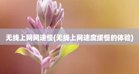 无线上网网速慢(无线上网速度缓慢的体验)