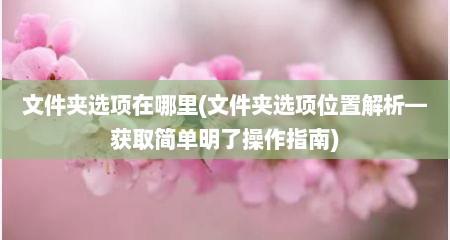 文件夹选项在哪里(文件夹选项位置解析—获取简单明予操作指南)