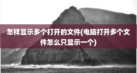 怎样显示多个打开的文件(电脑打开多个文件怎么只显示一个)