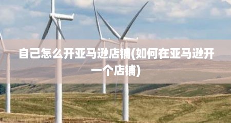 自己怎么开亚马逊店铺(如何在亚马逊开一个店铺)