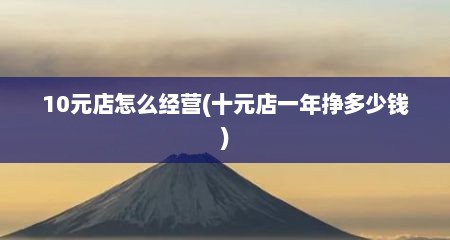 10元店怎么经营(十元店一年挣多少钱)