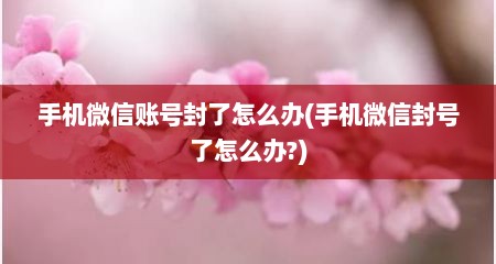 手机微信账号封了怎么办(手机微信封号了怎么办?)