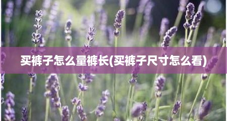 买裤子怎么量裤长(买裤子尺寸怎么看)