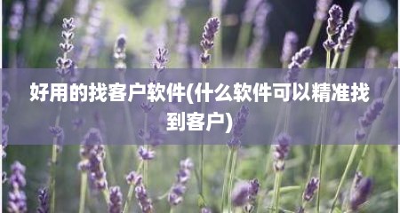 好用的找客户软件(什么软件可以精准找到客户)