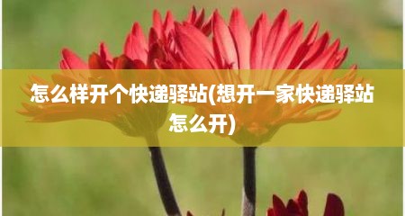 怎么样开个快递驿站(想开一家快递驿站怎么开)