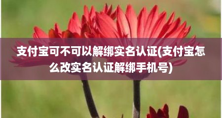 支付宝可不可以解绑实名认证(支付宝怎么改实名认证解绑手机号)