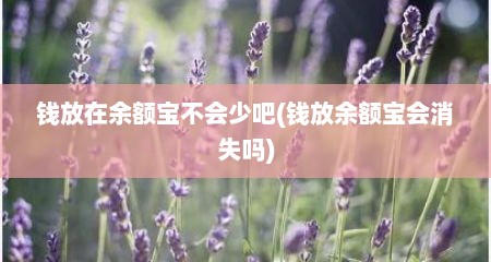 钱放在余额宝不会少吧(钱放余额宝会消失吗)