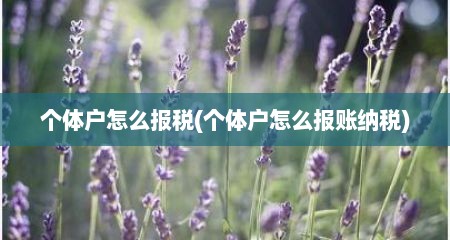 个体户怎么报税(个体户怎么报账纳税)