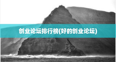 创业论坛排行榜(好的创业论坛)