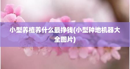 小型养植养什么最挣钱(小型种地机器大全图片)