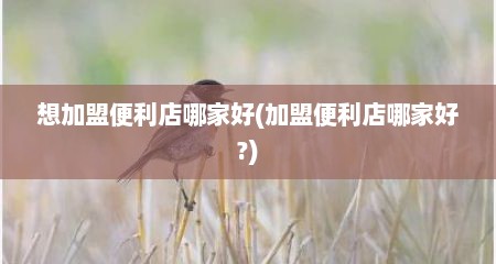 想加盟便利店哪家好(加盟便利店哪家好?)