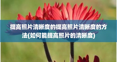 提高照片清晰度的提高照片清晰度的方法(如何能提高照片的清晰度)