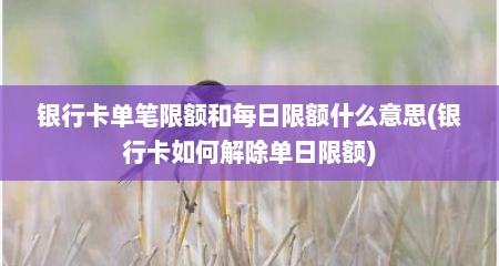 银行卡单笔限额和每日限额什么意思(银行卡如何解除单日限额)