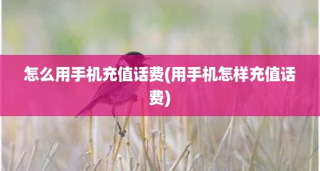 怎么用手机充值话费(用手机怎样充值话费)