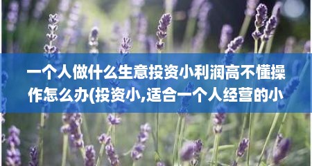一个人做什么生意投资小利润高不懂操作怎么办(投资小,适合一个人经营的小生意)