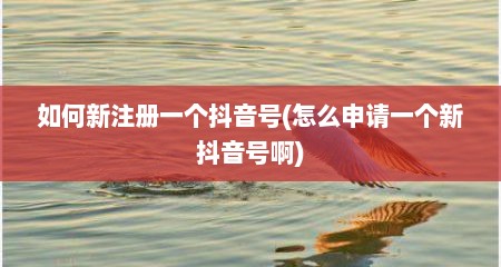 如何新注册一个抖音号(怎么申请一个新抖音号啊)