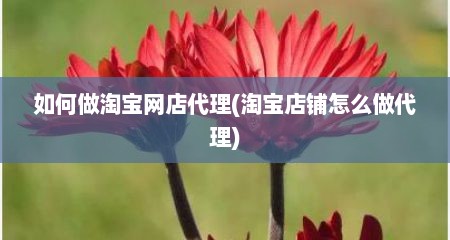 如何做淘宝网店代理(淘宝店铺怎么做代理)