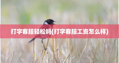 打字客服轻松吗(打字客服工资怎么样)
