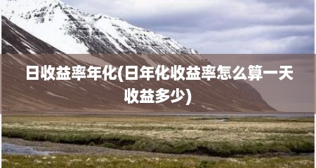 日收益率年化(日年化收益率怎么算一天收益多少)