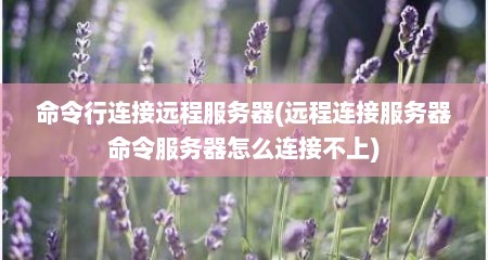 命令行连接远程服务器(远程连接服务器命令服务器怎么连接不上)