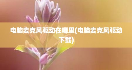 电脑麦克风驱动在哪里(电脑麦克风驱动下载)