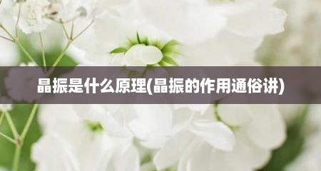 晶振是什么原理(晶振的作用通俗讲)