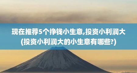 现在推荐5个挣钱小生意,投资小利润大(投资小利润大的小生意有哪些?)